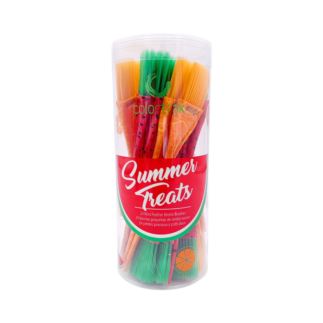 Summer Treats Mini Feather Bristle Brush Canister 24 Pk